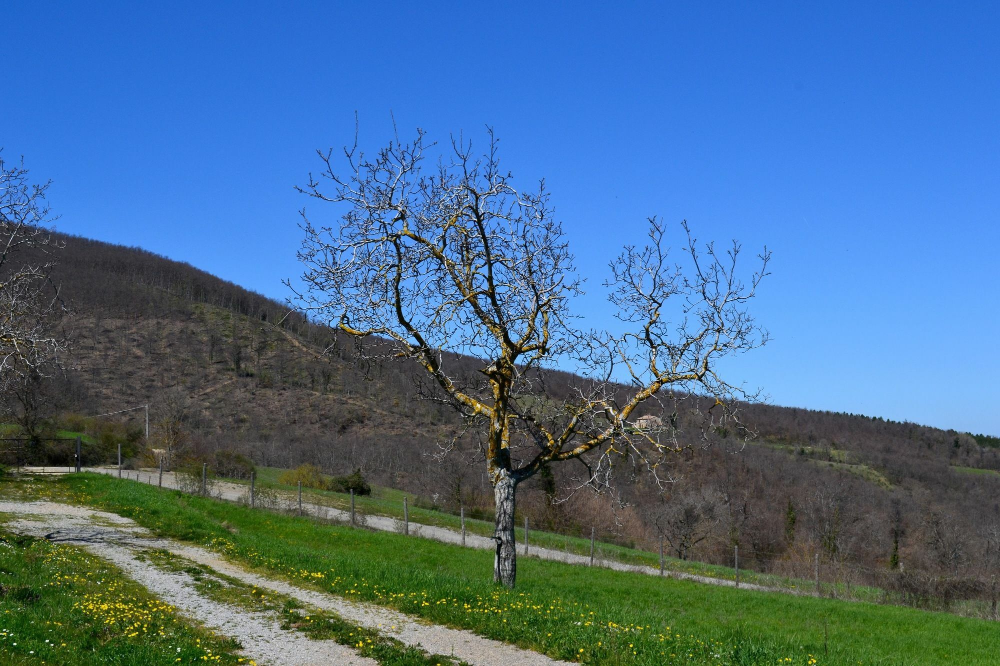 Holiday home Borgo Poggio Bianco