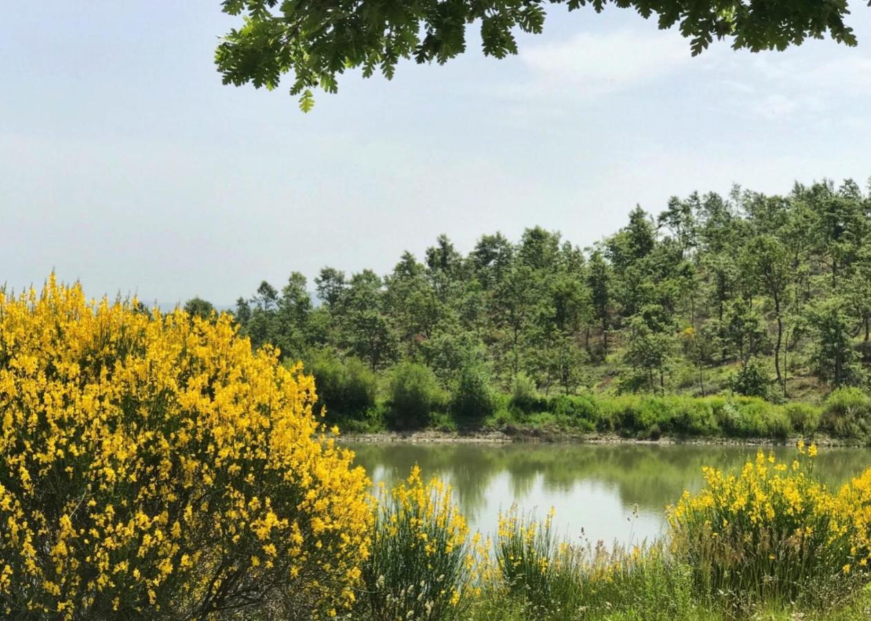 Vakantiehuis Borgo Poggio Bianco Sarteano