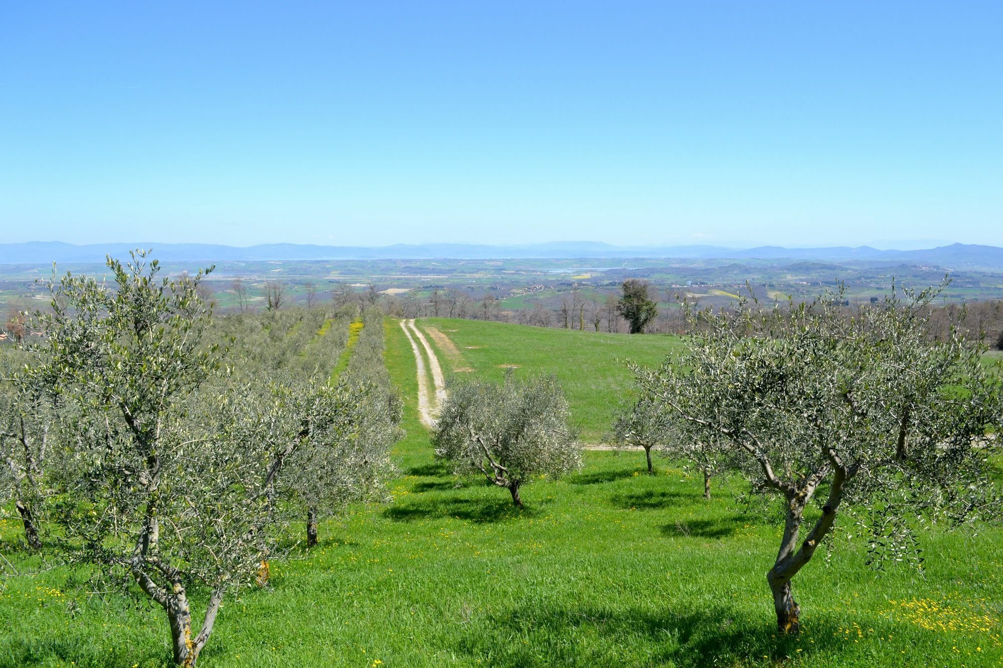 Borgo Poggio Bianco Sarteano